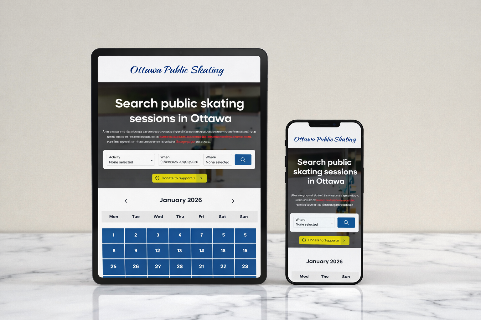 Ottawa Public Skating